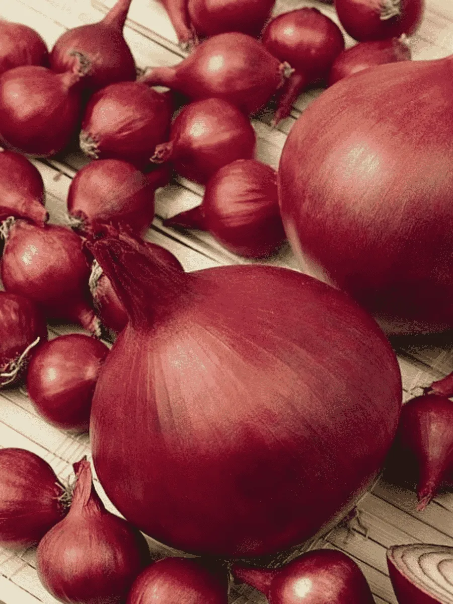 Лук-севок Ред Кармен