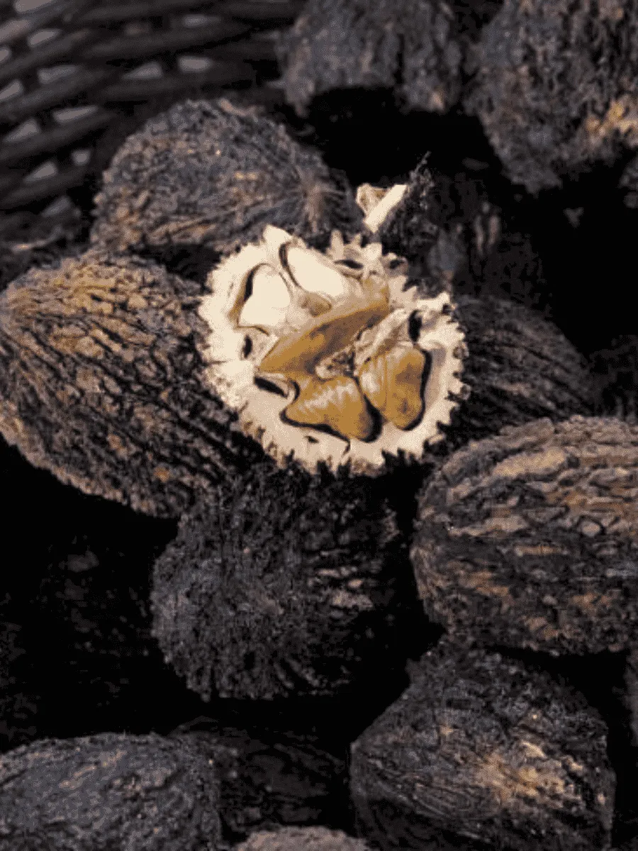 Орех черный