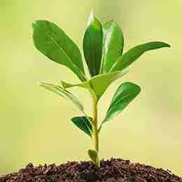 Новинки Новинки