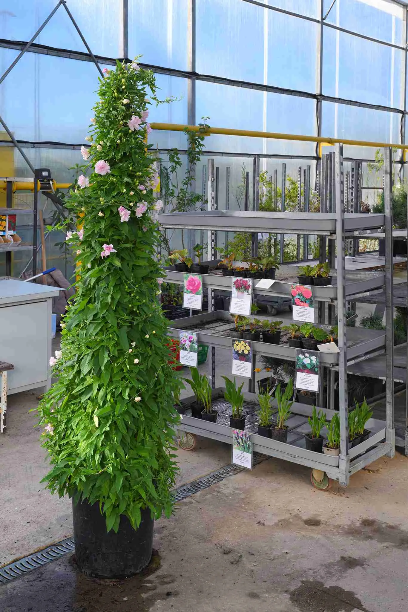 Общие фото 2024 Общие фото 2024